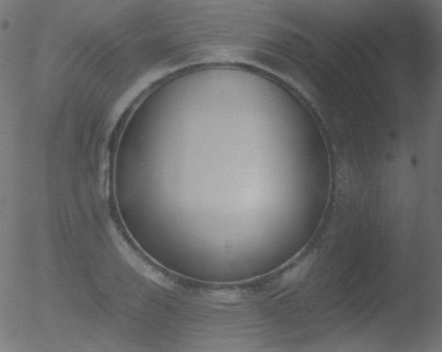 X0000052551126200507011123