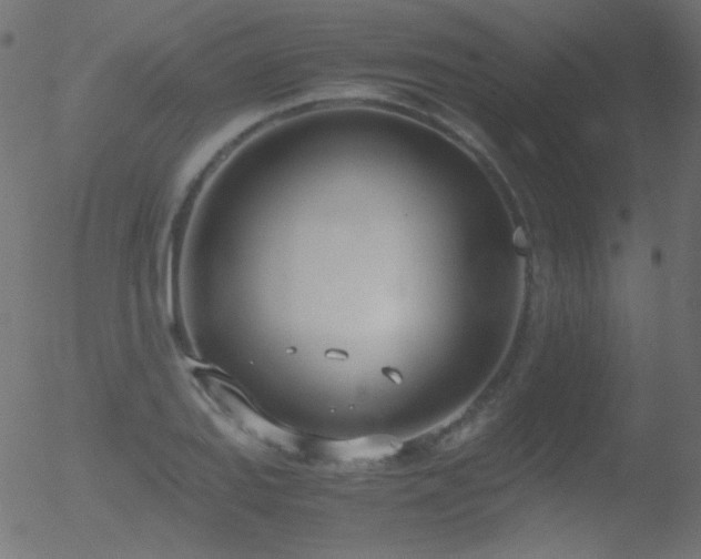 X0000052551127200507011123