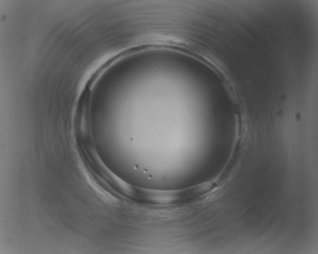 X0000052551128200507011123