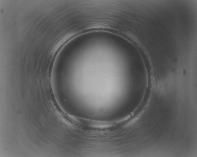 X0000052551129200507011123