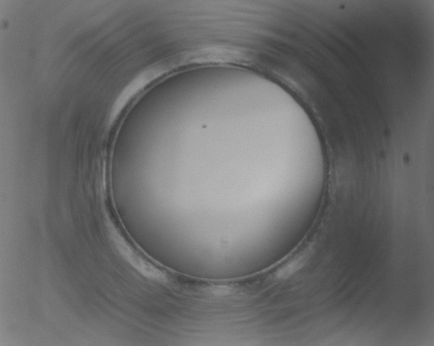 X0000052551130200507011124