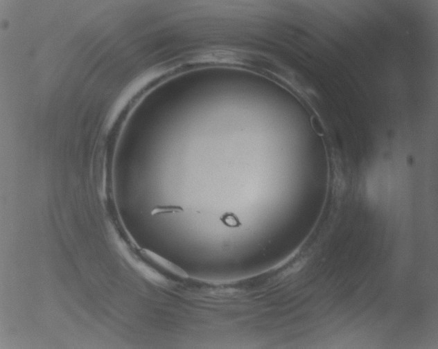 X0000052551131200507011124