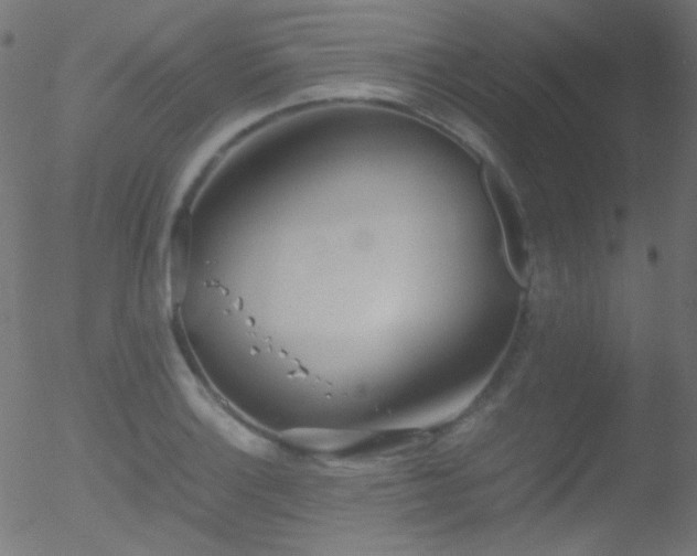 X0000052551132200507011124