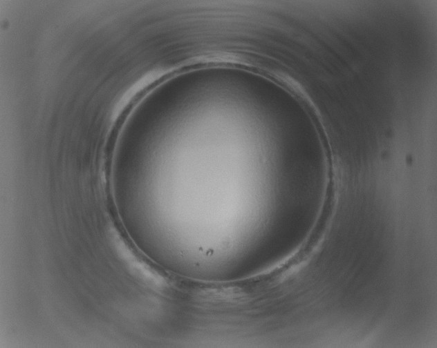 X0000052551133200507011124