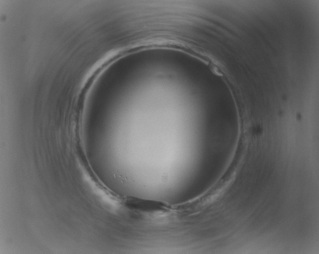 X0000052551134200507011124