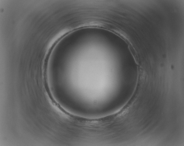 X0000052551135200507011124