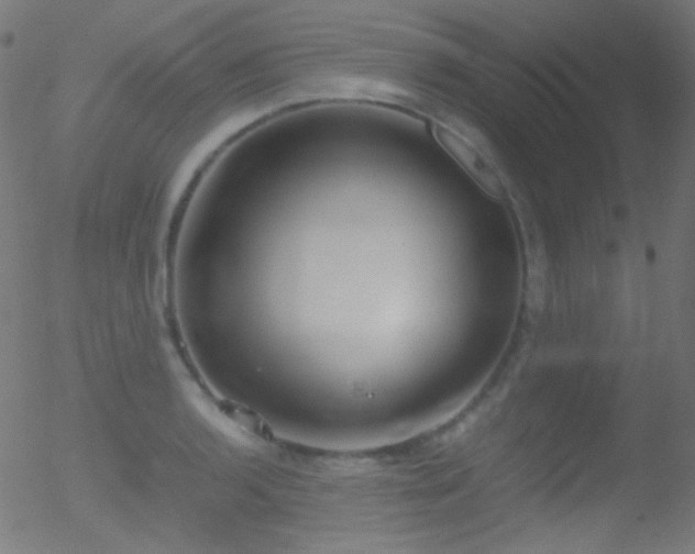 X0000052551136200507011124