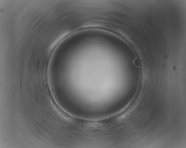 X0000052551137200507011124