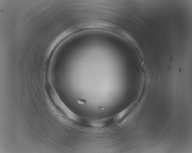 X0000052551138200507011124