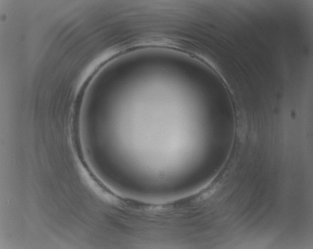 X0000052551139200507011124