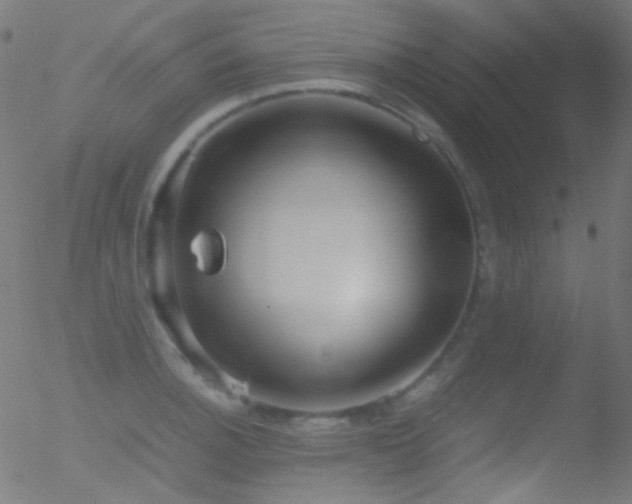 X0000052551140200507011124