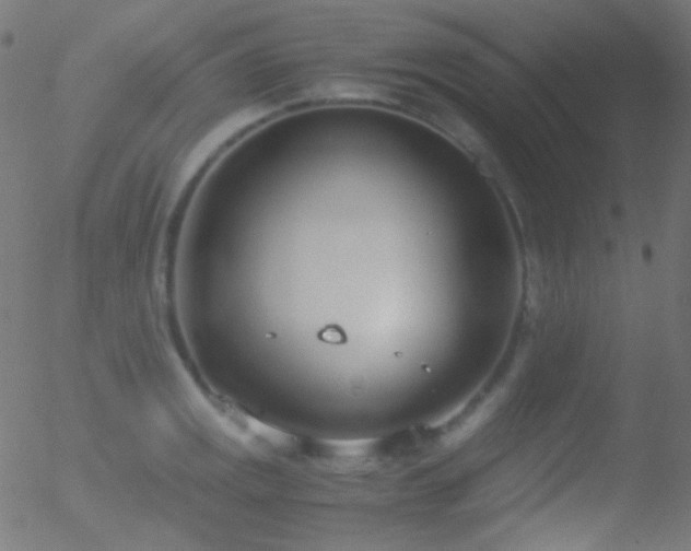 X0000052551141200507011124