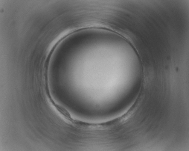 X0000052551142200507011124