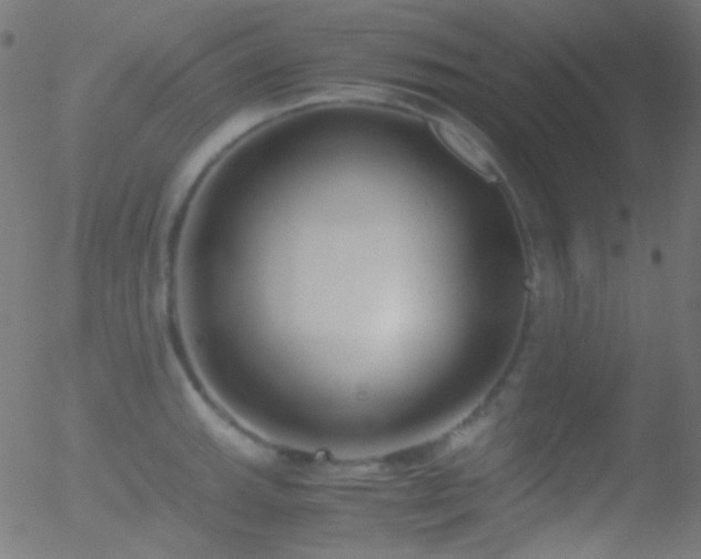 X0000052551143200507011124