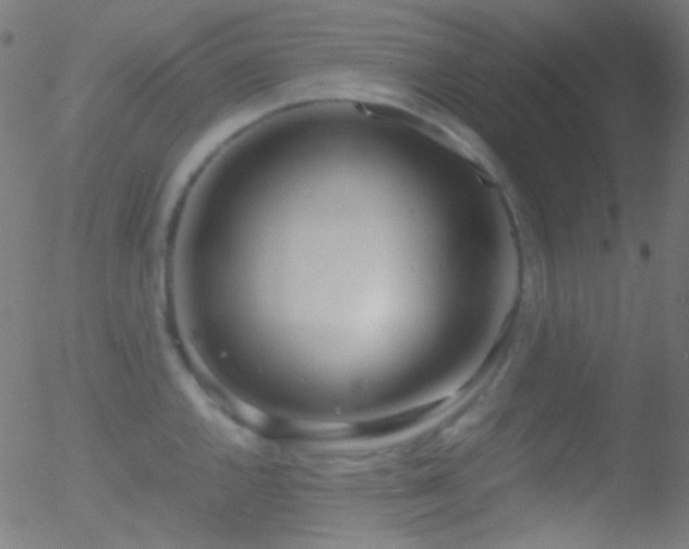 X0000052551144200507011124