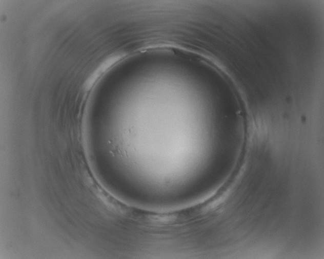 X0000052551145200507011124