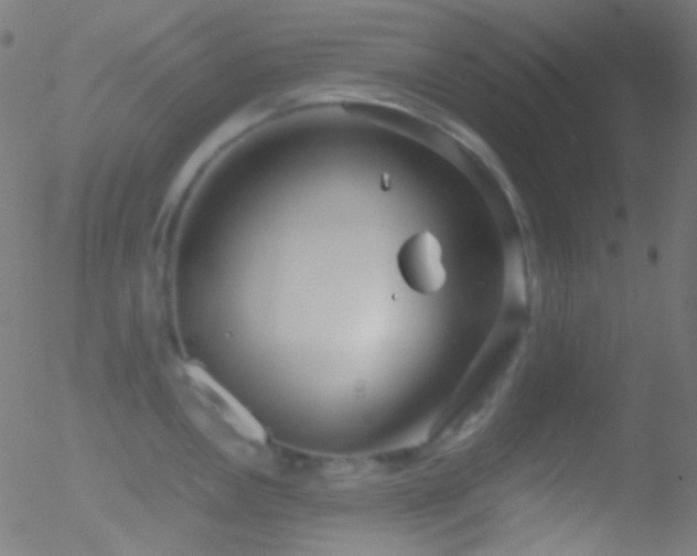 X0000052551146200507011124