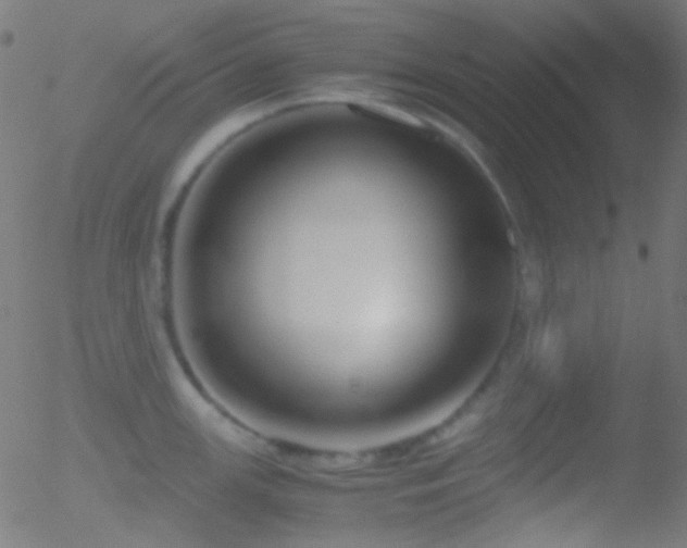 X0000052551147200507011124