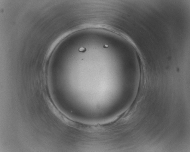 X0000052551148200507011124