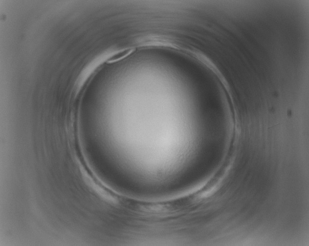 X0000052551149200507011124