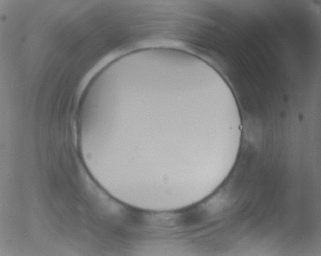 X0000052551150200507011124