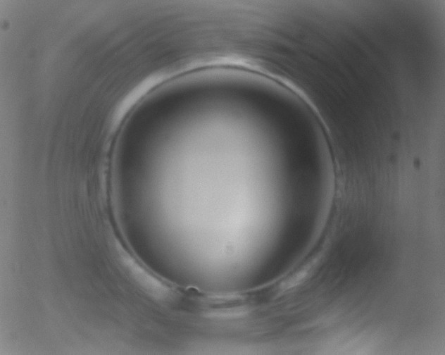 X0000052551151200507011124