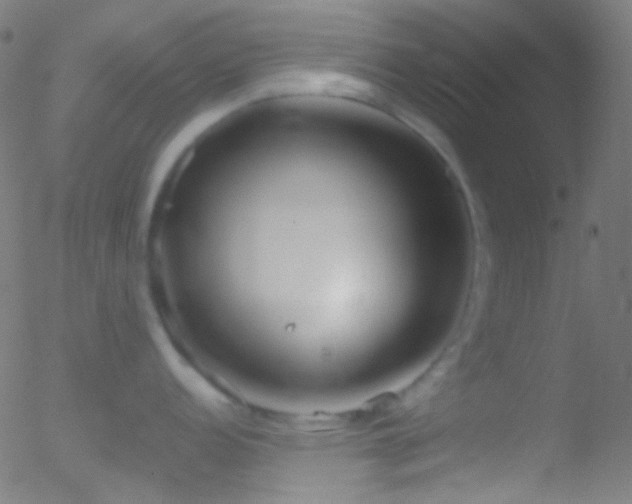 X0000052551152200507011124