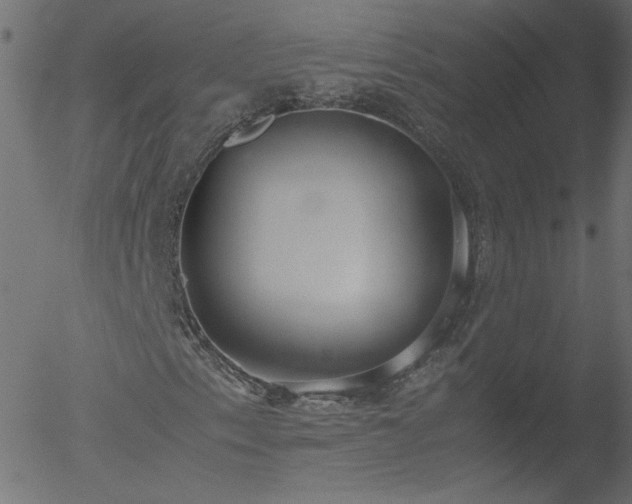 X0000052551153200507011123