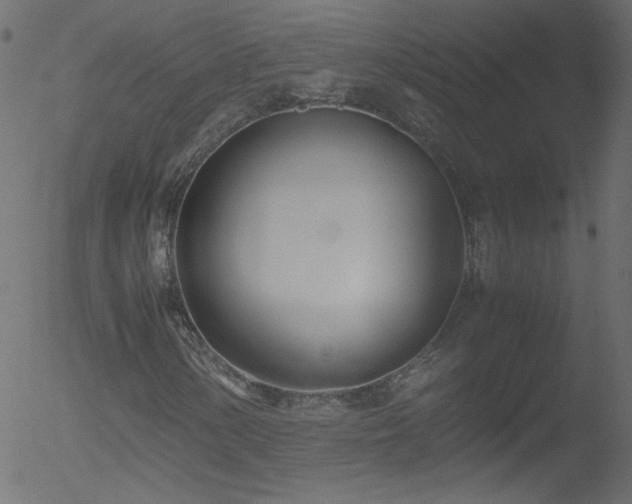 X0000052551154200507011123