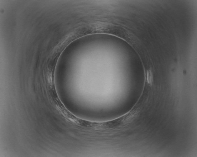 X0000052551155200507011123