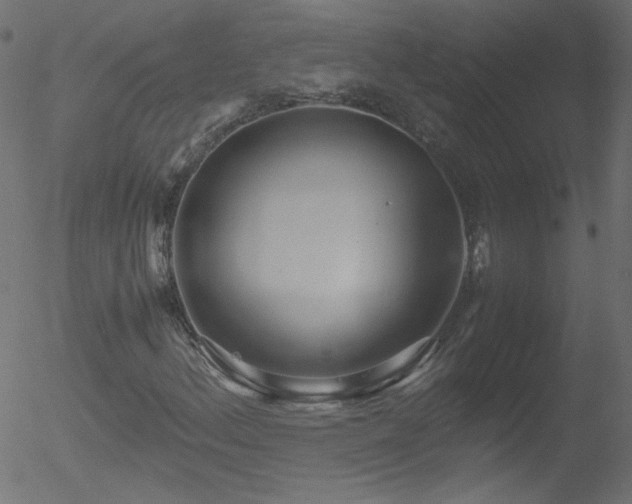 X0000052551156200507011123