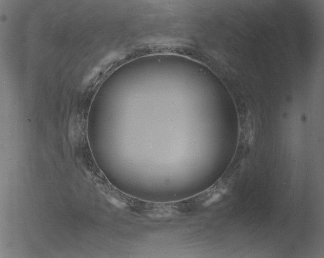 X0000052551157200507011123