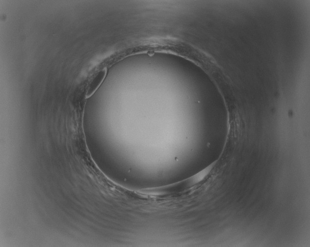 X0000052551158200507011123