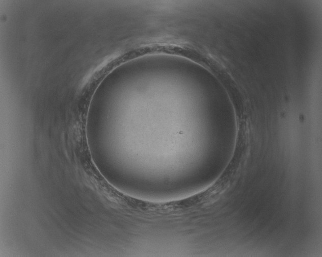 X0000052551159200507011123