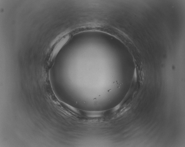 X0000052551160200507011123