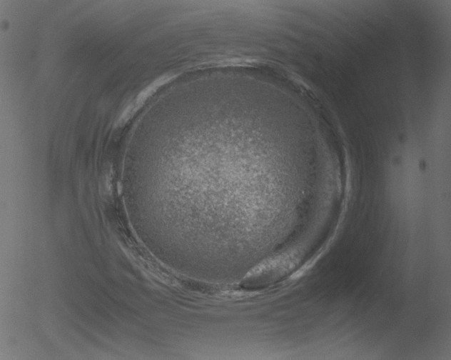 X0000052551161200507011123