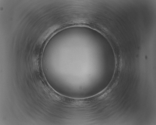 X0000052551162200507011123