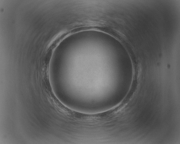 X0000052551163200507011123