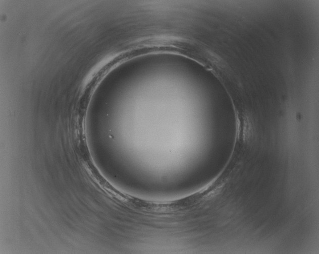 X0000052551164200507011123