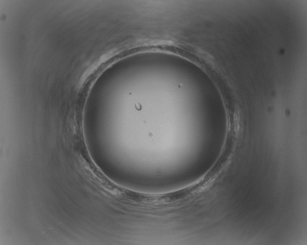 X0000052551165200507011123