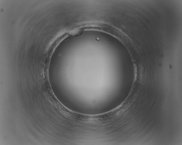 X0000052551166200507011123