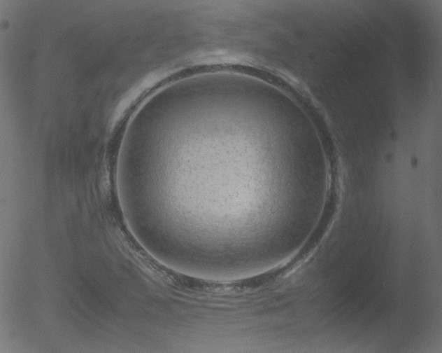 X0000052551167200507011123