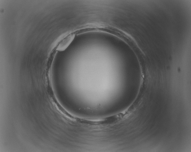 X0000052551168200507011123