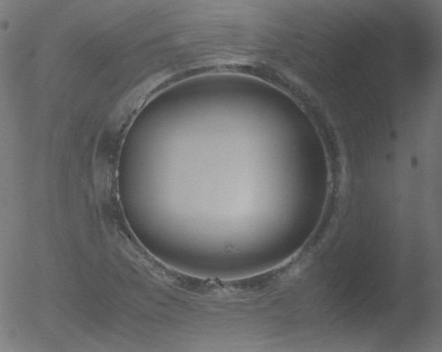 X0000052551169200507011123