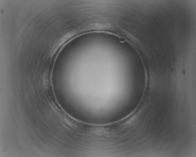 X0000052551170200507011123