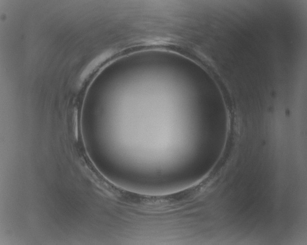 X0000052551171200507011123