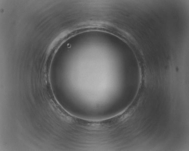 X0000052551172200507011123