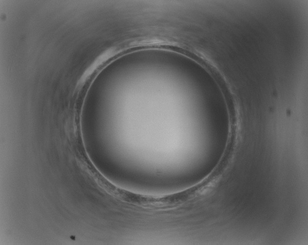 X0000052551173200507011123