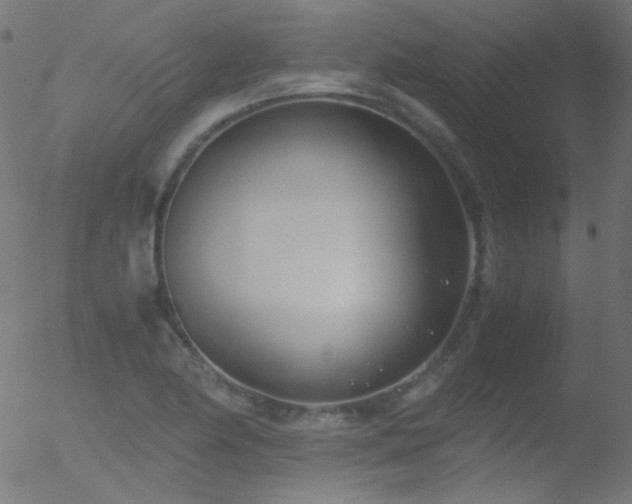 X0000052551174200507011123