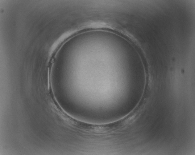 X0000052551175200507011123